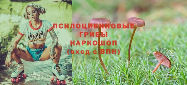 соль ск Карпинск