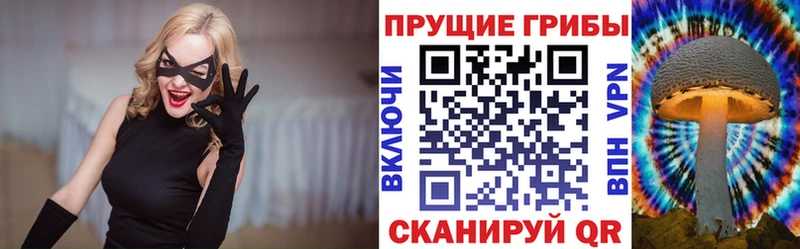Галлюциногенные грибы MAGIC MUSHROOMS  Купить где  Полярные Зори 