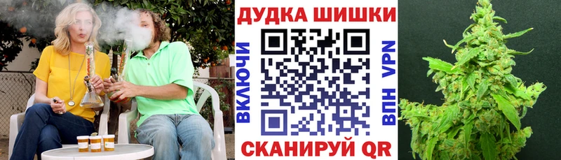Конопля планчик  Купить закладки  Полярные Зори 